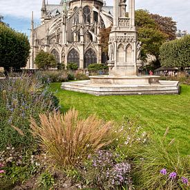 Notre Dame in Paris, France. sur Arie Storm