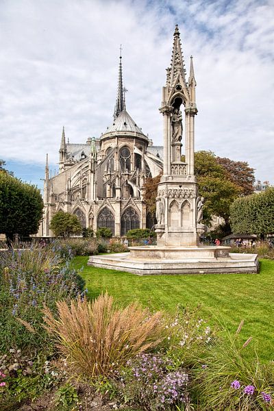 De Notre-Dame in Parijs, Frankrijk. van Arie Storm