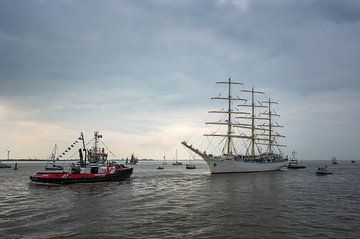 Dar Mlodziezy and Waterland DelfSail 2024 by Jan Georg Meijer