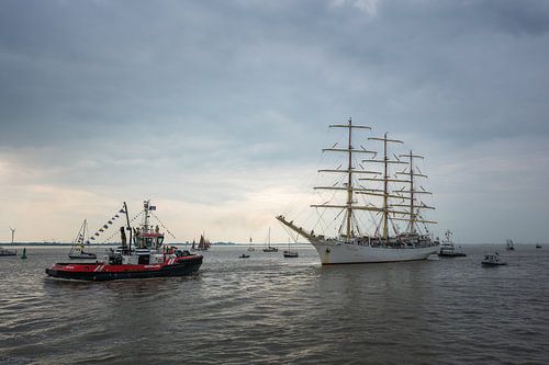 Dar Mlodziezy et Waterland DelfSail 2024