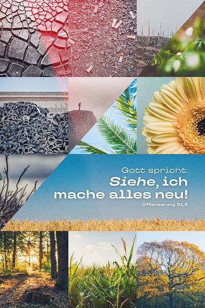 Jahreslosung 2026 Motiv Natur von Jonathan Schöps | UNDARSTELLBAR.DE — Visuelle Gedanken zu Gott