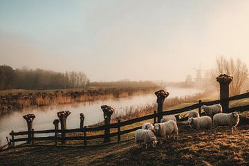 Frühling in der Niederlande von Marleen Kuijpers @themissmarple