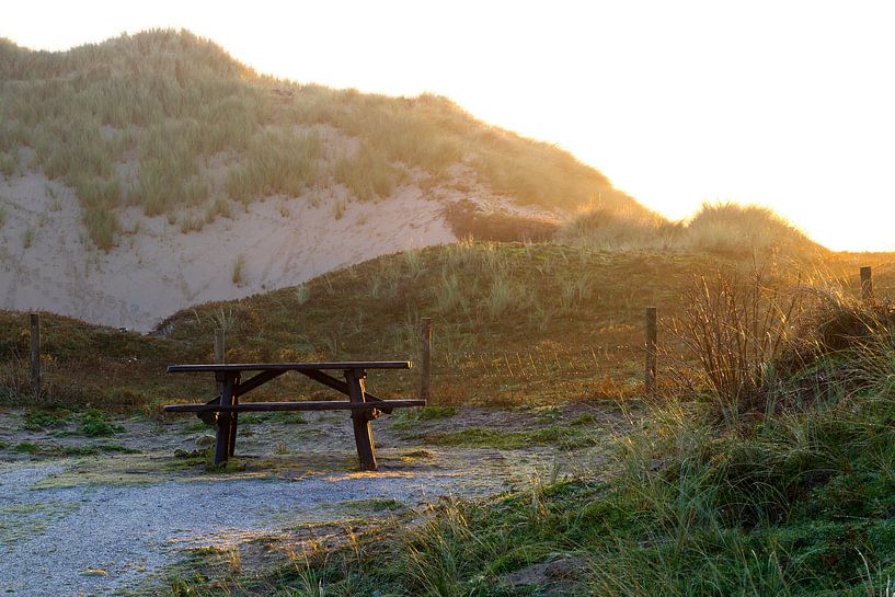 View of the Katwijk Coepelduynen, Holland by Frans Rombout