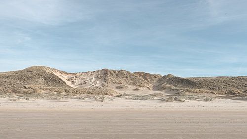 Strand en duinen bij Egmond aan Zee 1