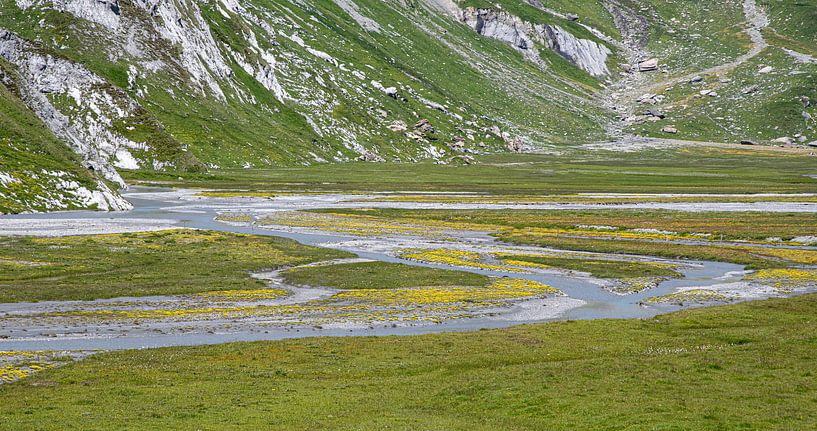 Gebirgsfluss von jacky weckx