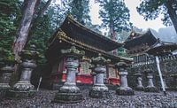 Het Tōshō-gū heiligdom in de stad Nikko (Japan). van Claudio Duarte thumbnail