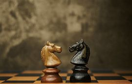 Duell der Springer von Thomas Marx