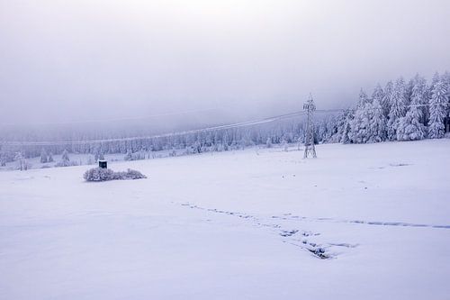 Langlaufen in het besneeuwde Thüringer Woud bij Floh-Seligenthal - Thüringen - Duitsland