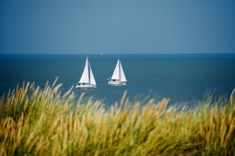 Zeilbootjes op de Noordzee by Jessica Berendsen