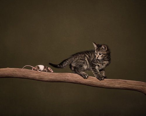 Cat and mouse by Mariska Vereijken