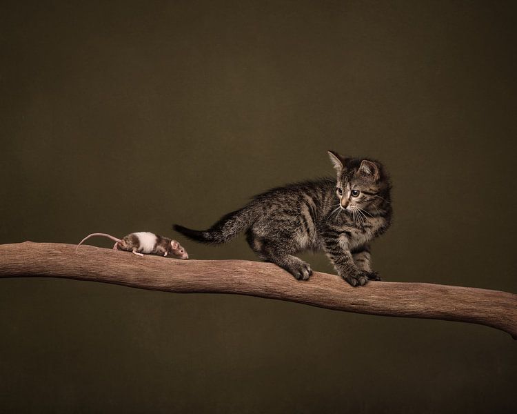Kat en muis van Mariska Vereijken