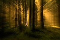 gebroken licht