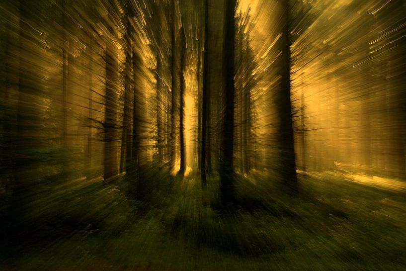 gebroken licht par Joke Scheerman
