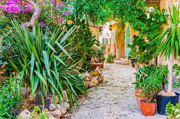 Maison méditerranéenne avec jardin de beaux pots de fleurs et de plantes en pot sur Alex Winter