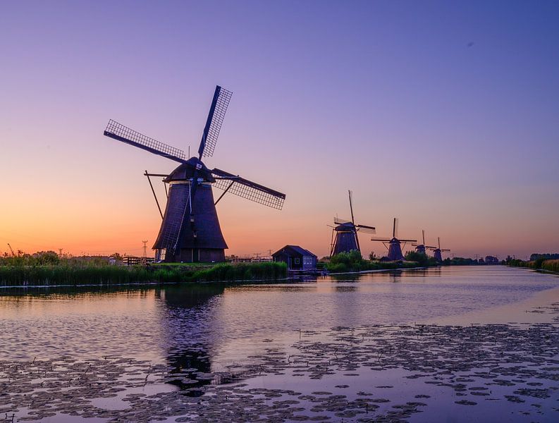 Die Windmühlen von Kinderdijk von Michel Knikker