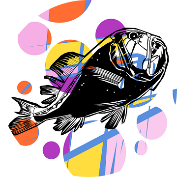 Kleurige vis De Zwarte Diepzee Vis van Studio Heyki
