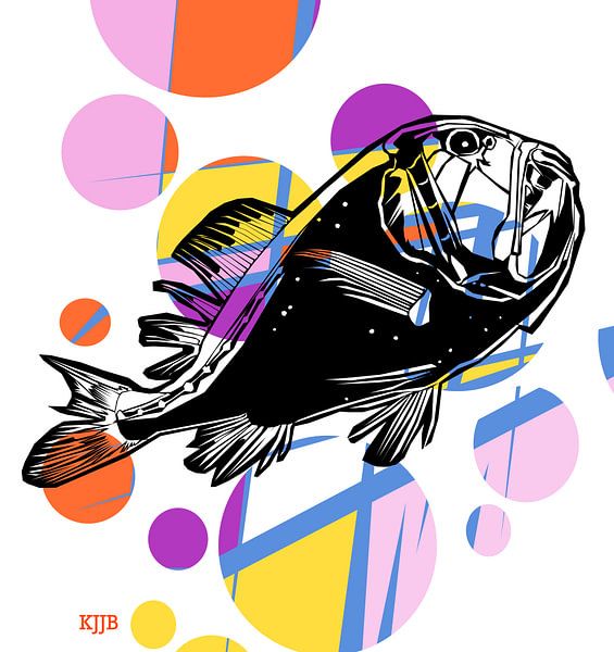 Colorful fish The Black Deep Sea Fish by Studio Heyki