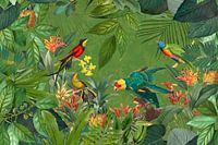 Exotic Birds In Tropical Paradise
