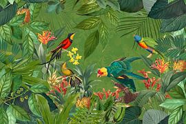 Exotic Birds In Tropical Paradise by Andrea Haase