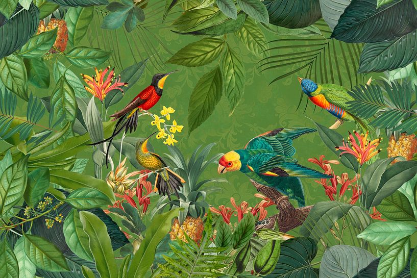 Tropisch paradijs van Andrea Haase