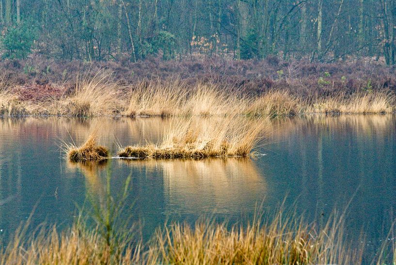 Langeven von George Burggraaff