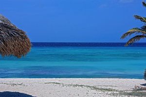 paradis