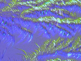 Vagues sur Joop de Wolde