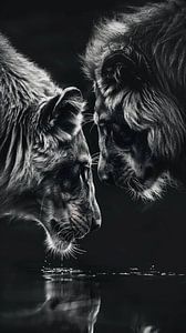 Die Big 5: Das Königspaar