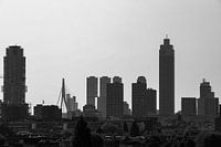 Skyline Black and White