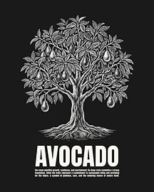 Affiche minimaliste représentant un avocatier en dessin au trait - édition noire sur moveit store