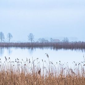 Neblige Morgendämmerung | Landschaft von Daan Duvillier | Dsquared Photography