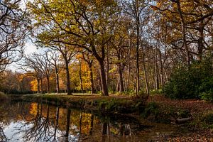 Herbst auf Schloss Westhove von Mario Lere