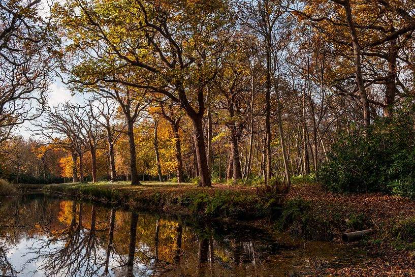 Herfst bij kasteel Westhove van Mario Lere