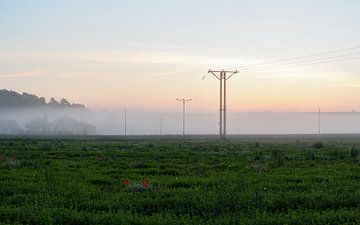 Vroege ochtend in het mistige veld van Yevgen Belich