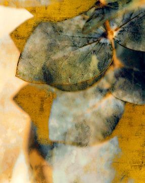 Eukalyptus Blatt auf Gold von Mad Dog Art
