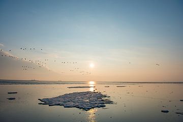 Eis- und Meereslandschaft auf den Sandflächen des Wattenmeeres von Sjoerd van der Wal Fotografie