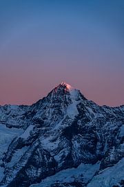 Der letzte Kuss der Sonne – Alpenglühen am Mönch von Marco Zurschmiede