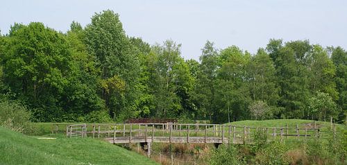 Het gras is altijd groener...