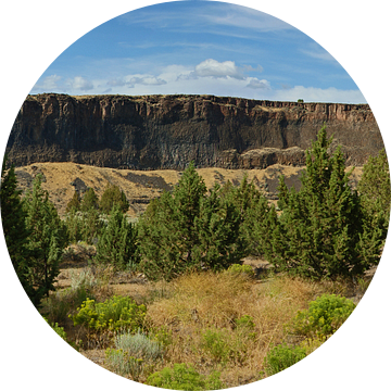 Crooked River Canyon, Oregon, USA van Jeroen van Deel
