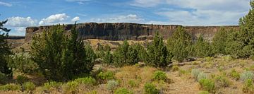 Crooked River Canyon, Oregon, USA by Jeroen van Deel