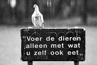 Een bord met een boodschap