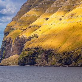 Felsen auf der Färöer Insel Kalsoy von Rico Ködder
