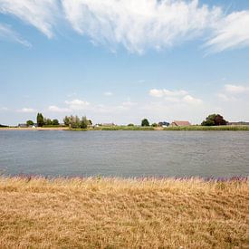 Hitland van Richard Wareham