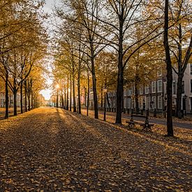 The Hague - Lange Voorhout by Tom Roeleveld