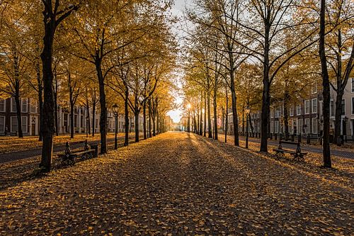 The Hague - Lange Voorhout by Tom Roeleveld