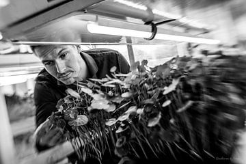 Phood Farm, Eindhoven En vedette