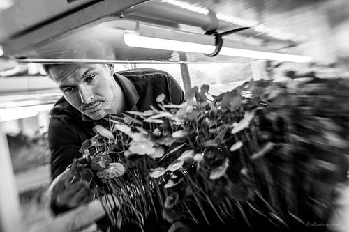 Phood Farm, Eindhoven In Focus