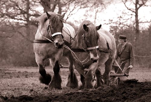 Und der Bauer, er pflügte weiter....