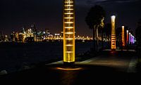 The view of the harbour of Miami by night