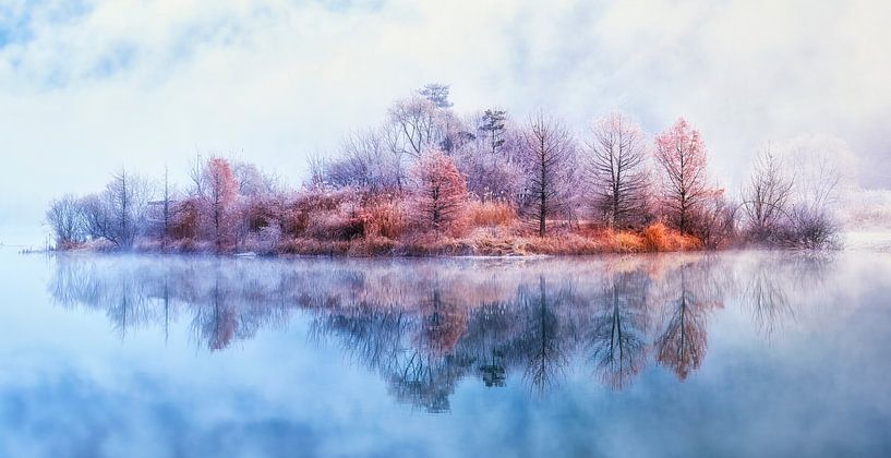Freezing fog on Floating Island by Tiger Seo
